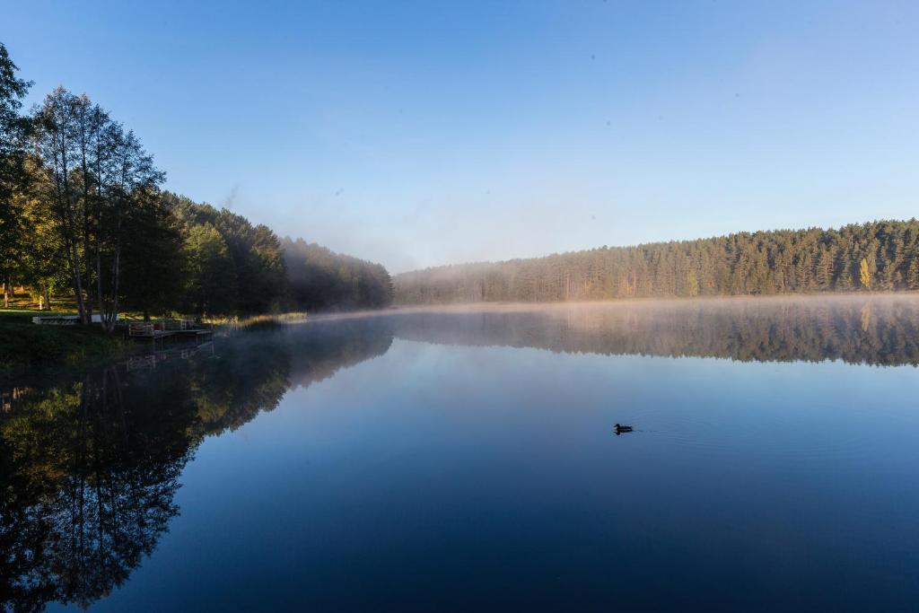 Zuvedra Hotel Ignalina Luaran gambar